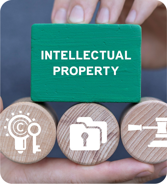 IP Enforcement / Anti-Counterfeit